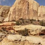 Capital Reef National Park - Utah 